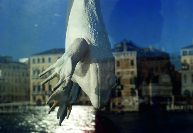Venedig 2011 © Lutz Schönwald